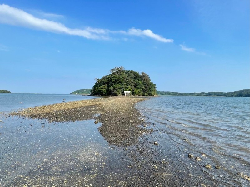 離島の物々交換とコミュニケーション